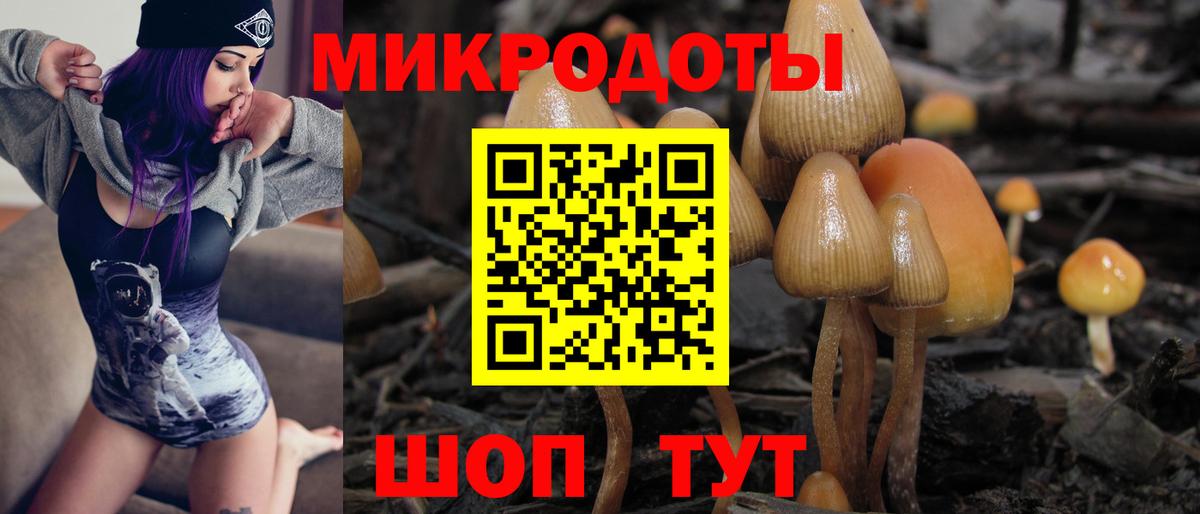 Галлюциногенные грибы MAGIC MUSHROOMS Электрогорск